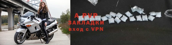 эйфоретик Арсеньев