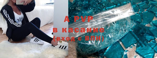 эйфоретик Арсеньев