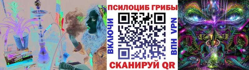 Псилоцибиновые грибы прущие грибы дарк нет какой сайт Волгоград